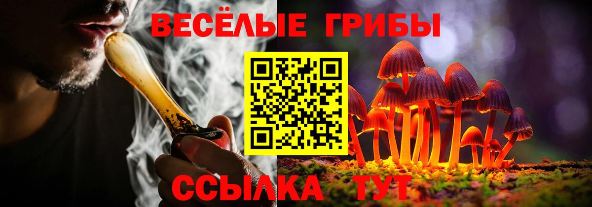 Галлюциногенные грибы Cubensis  Вход с VPN  Галлюциногенные грибы прущие грибы  Бор 
